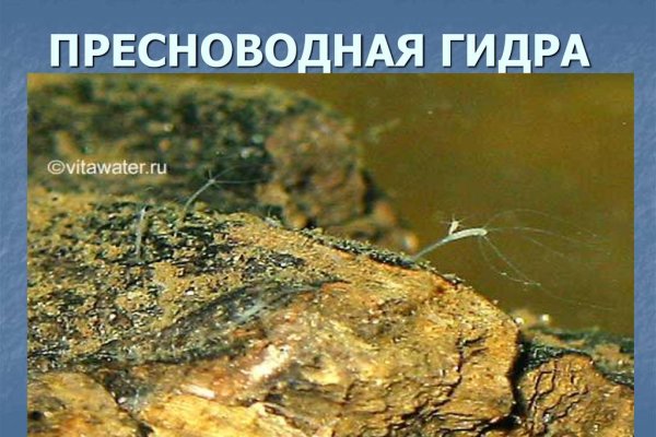 Ошибка на кракене