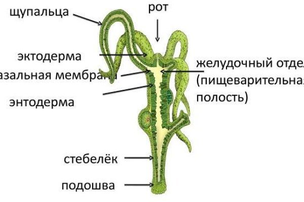 Ссылка на даркнет в тор