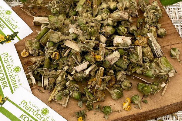 Кракен актуальная ссылка тор